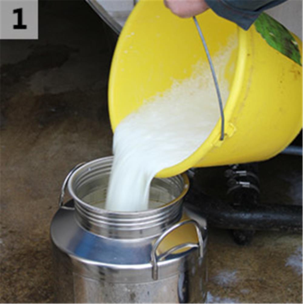 Vendita 1- Termometro per latte e cagliata di formaggi in gabbia in  plastica alimentare