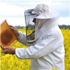 Camicia apicoltore con cappello e velo XL