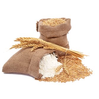 Farina di grano: come si riconosce?